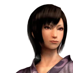 Shinobido 2 Sange, avatar 8