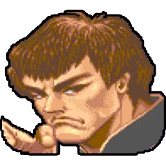 Super Street Fighter 2, avatar 8