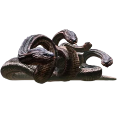Dragon's Dogma, avatar 27