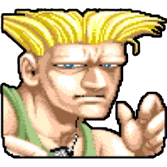 Street Fighter 2, avatar 5