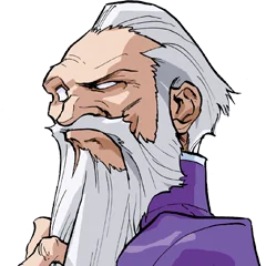 Street Fighter Alpha 3, avatar 16