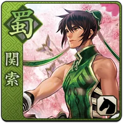 Shin Sangoku Musou Next, avatar 17