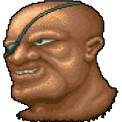 Street Fighter, avatar 5
