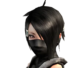 Shinobido 2 Sange, avatar 18
