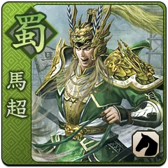 Shin Sangoku Musou Next, avatar 6