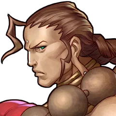 Darkstalkers Resurrection, avatar 14