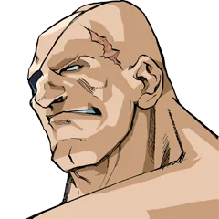 Street Fighter Alpha 3, avatar 27
