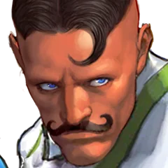 Super Street Fighter IV, avatar 24