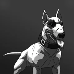 Constructor, avatar 5