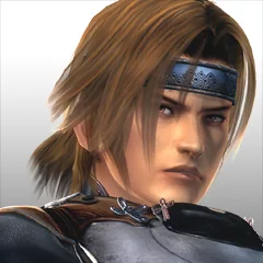 Dead or Alive 5 Ultimate, avatar 44