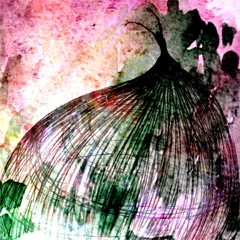 Puella Magi Madoka Magica, avatar 13