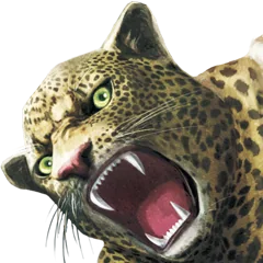 Street Fighter X Tekken, avatar 36
