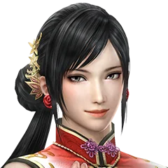 Dynasty Warriors 8, avatar 7