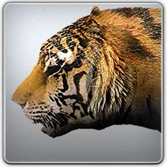Tokyo Jungle, avatar 13
