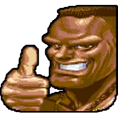 Super Street Fighter 2, avatar 5