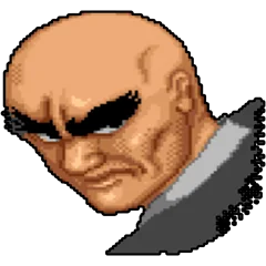 Street Fighter, avatar 11
