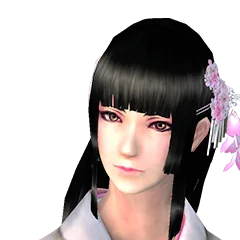 Shinobido 2 Sange, avatar 14