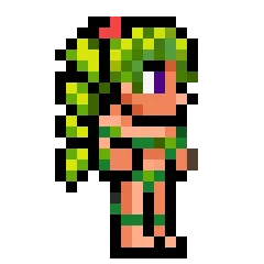 Terraria, avatar 5