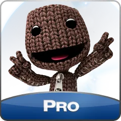 From PlayStation, avatar 13