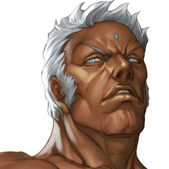Street Fighter III Third Strike Online Edition, avatar 17
