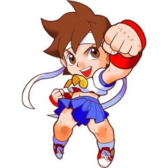 Pocket Fighter, avatar 40