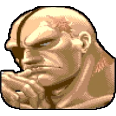 Super Street Fighter 2, avatar 13