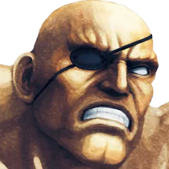 Street Fighter X Tekken, avatar 16
